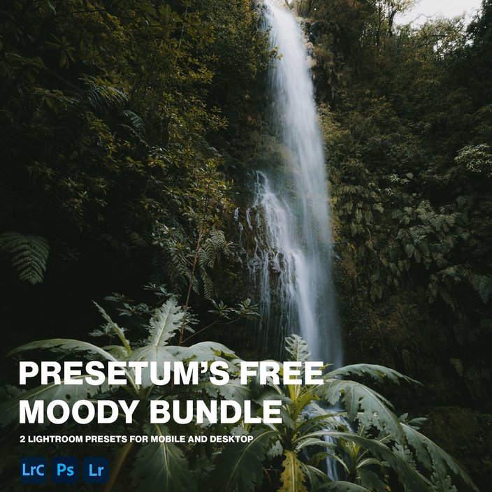 Presetum's free moody lightroom presets bundle is one of the best preset packs for landscape and nature photographers.